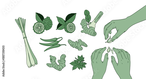 An illustration of key Southeast Asian ingredients, perfect for food blogs, recipes, or articles relating to Asian cuisine and cooking.