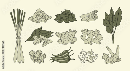 A gentle, hand-drawn illustration of Asian herbs and roots. Perfect for health, wellness, and natural product focused designs, and conveying tradition