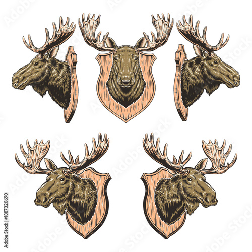Vintage Western Moose Head Illustration Set in Full Color
