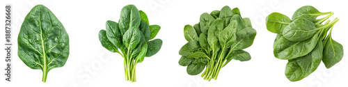 Fresh spinach leaves arranged in a row ready for a healthy meal. The green leaves are fresh and full of nutrients.