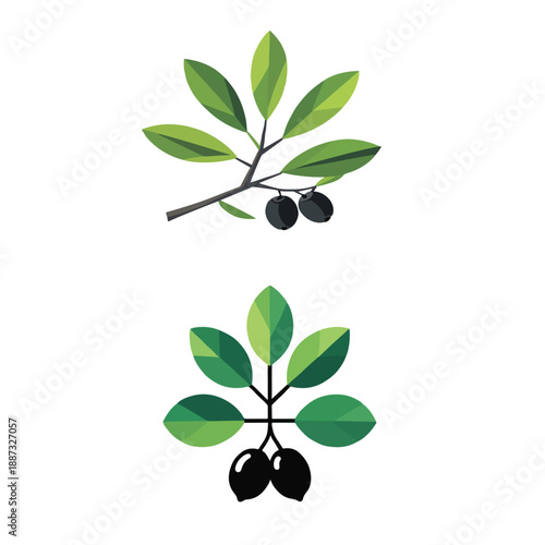 a simple olive branch, Islamic Symbol of Peace and Blessing Illustration