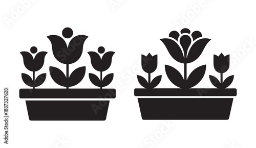 Two black and white planters with tulips