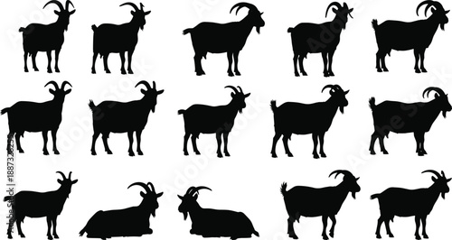 Goat silhouettes collection showing domestic farm goats in standing and resting poses, black vector illustration for agriculture, livestock farming, rural life and animal design concepts