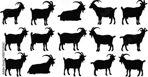 Goat silhouettes collection showing standing and resting farm goats in different poses, black livestock animal icons isolated on white background for agriculture, rural design, and illustration use