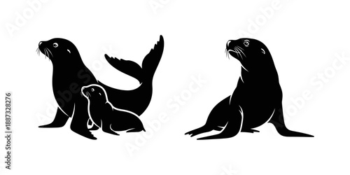 Black and white silhouette of a mother seal with her pup and another adult seal.