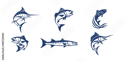 Set of various fish species illustrations in blue and white.