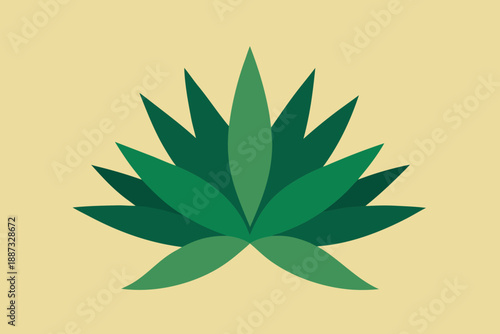 Green agave plant illustration on a beige background