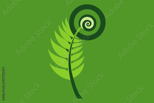 Green fern frond unfurling with concentric circles