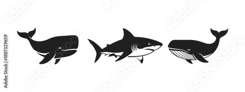 Three Silhouettes of Marine Mammals - Sperm Whale, Shark, and Blue Whale.