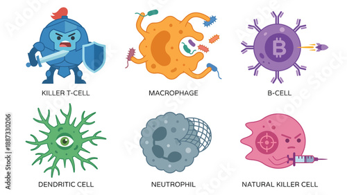 Cartoon Human Immune System Cells Collection: T-cell, Macrophage, B-cell, Dendritic, Neutrophil, Natural Killer Cell Illustrations