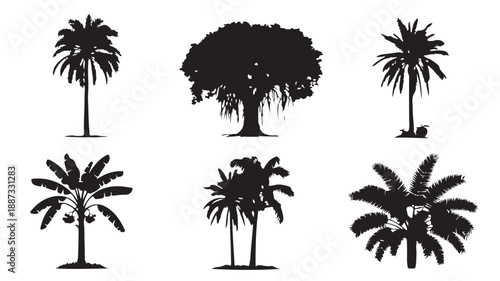 Tropical Tree Silhouettes Vector Set Isolated on White Background