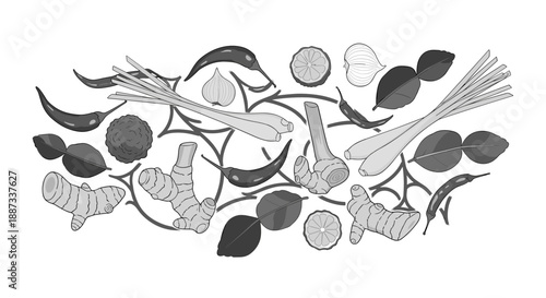 A detailed black and white illustration of various spices, ideal for culinary articles, recipe design, or packaging. Evokes a natural, organic mood.