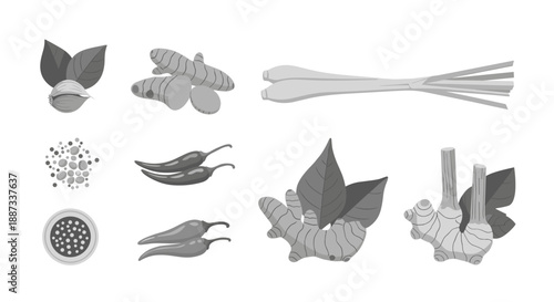 A minimalist, monochrome illustration featuring various spices. Ideal for culinary blogs, wellness content, or designs needing a natural, organic elem