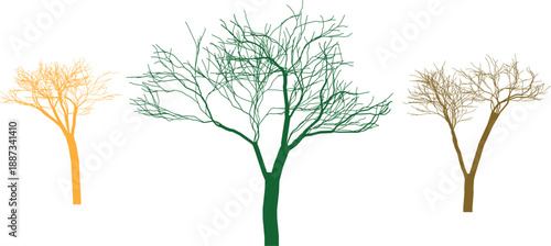 Three different tree silhouettes in orange green and brown colors illustrating seasonal changes and various heights for environmental design and landscape vector set