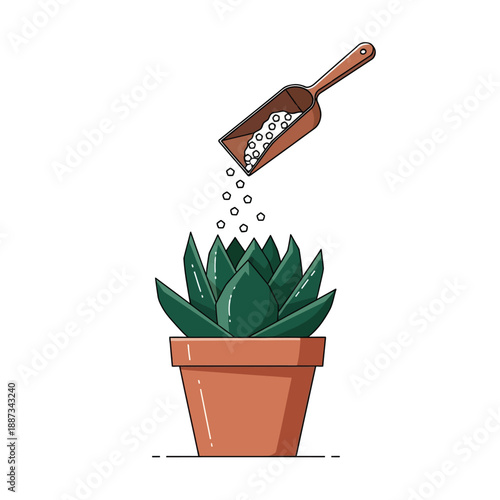 Fertilizing Succulent Houseplant Vector Illustration. Plant Care and Gardening Nutrient Concept.