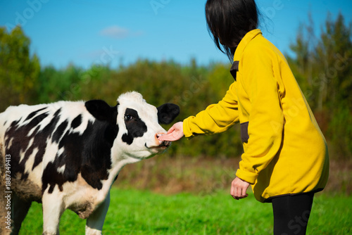 Woman touch cow