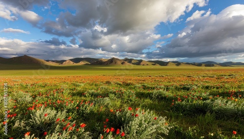 Vibrant wildflowers in green landscape under blue sky.