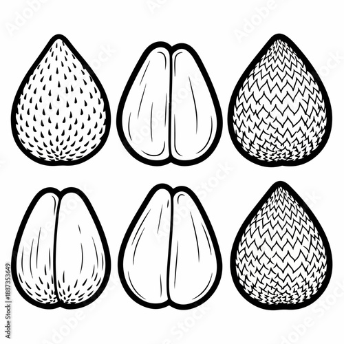 Black and white outline set of Salak (Snake Fruit) elements, featuring stylized illustrations of textured peels and internal edible segments.