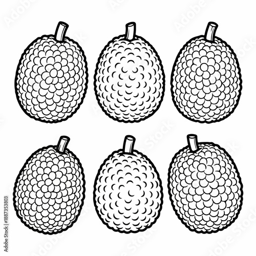 Black and white line art vector set of six tropical bumpy fruits, resembling lychee or rambutan, perfect for coloring pages or food design.