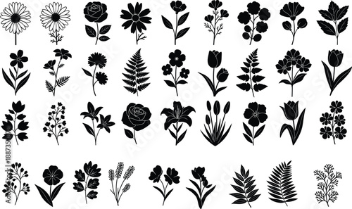 Silhouettes of flowers, botanical plants, floral shapes, leafy patterns, vector illustration, black design, minimal layout, nature elements, garden icons