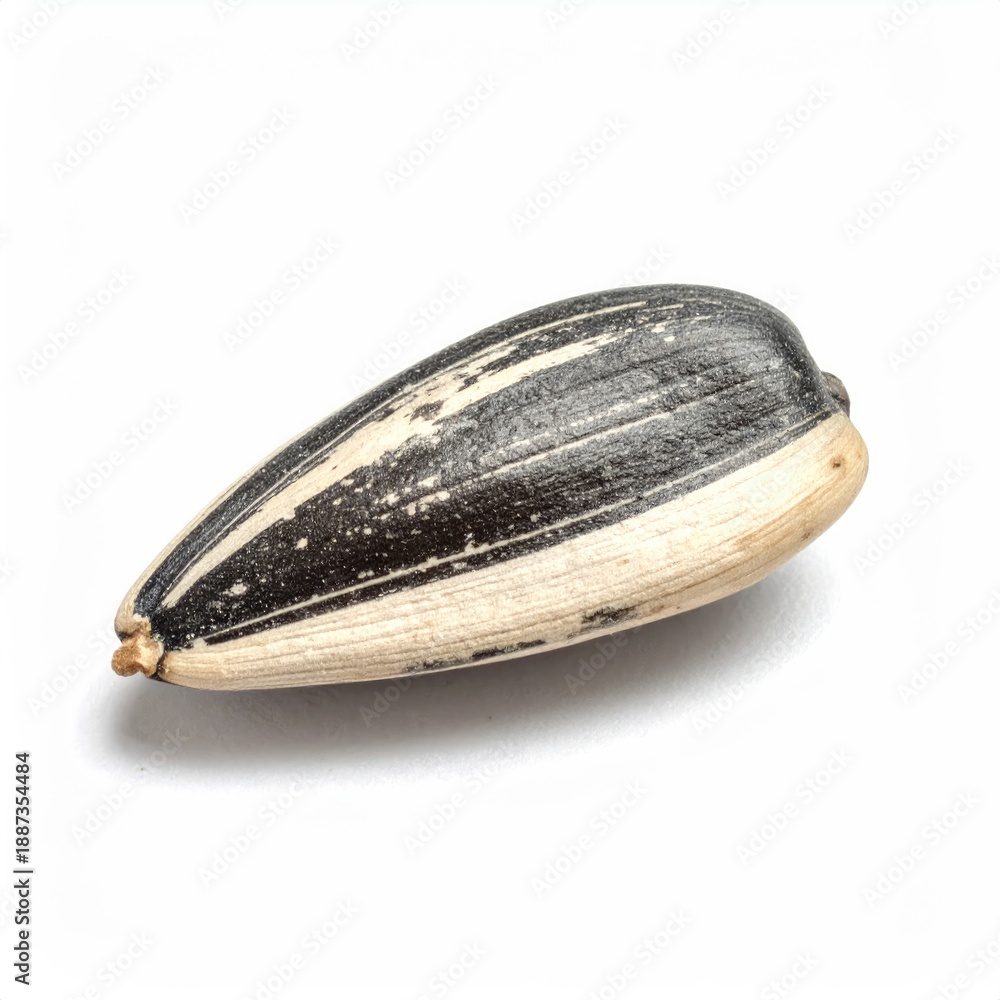 custom made wallpaper toronto digitalIsolated sunflower seed, close-up, shell details visible, on a plain white background