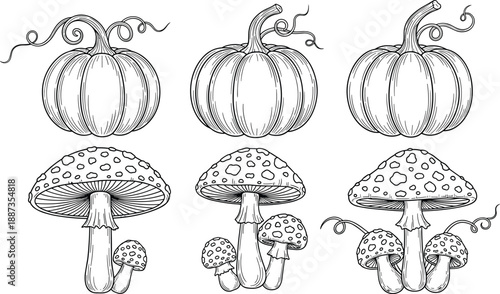 Hand drawn pumpkin and mushroom line art vector set autumn harvest botanical outline illustration woodland fall coloring design