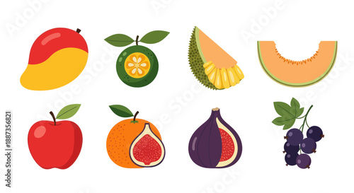 Variety of fresh fruits mango orange apple fig melon vector illustration