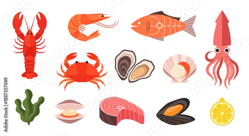 Variety of seafood illustrations lobster shrimp fish oyster clam squid vector