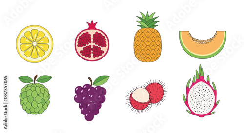 Variety of tropical fruits colorful vector illustrations on white background