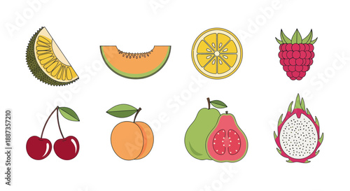 Various colorful fruits in a row with outlines on white background