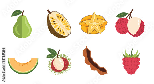 Various colorful tropical and subtropical fruits collection on white background
