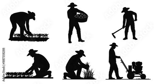 Farmers working in fields, harvesting and using machinery, isolated.