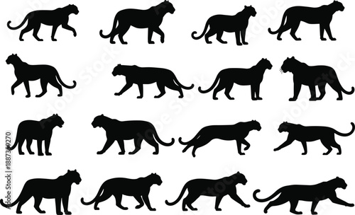 Massive bundle of black silhouettes featuring emu birds cougar wildcats coyotes poodle dogs woolly mammoths ballet dancers field hockey players and surgical instruments