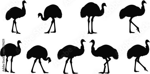 Massive mega bundle of black silhouettes featuring emu birds wild coyotes poodle dogs woolly mammoths ballet dancers field hockey players samurai warriors and surgical instrumentsMassive mega bundle 