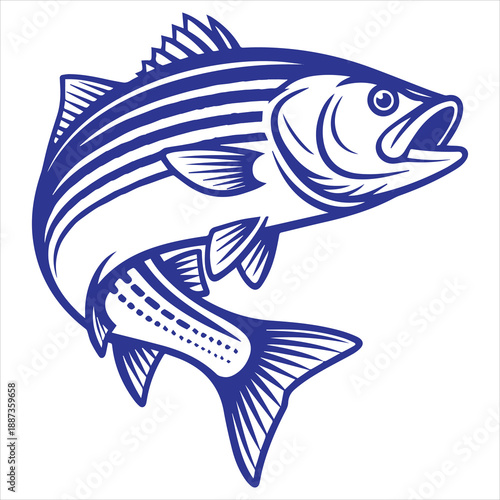 Vibrant Striped Bass Fish 