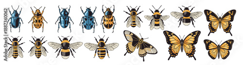 bees and wasps illustration