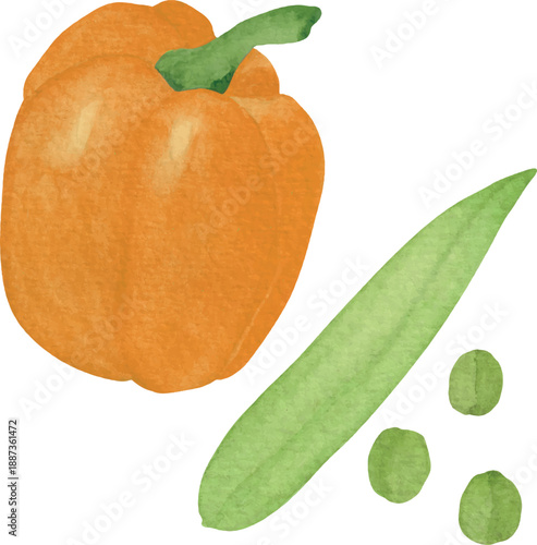 Bell Pepper and Green Peas with Pea Pods Vector Food Set