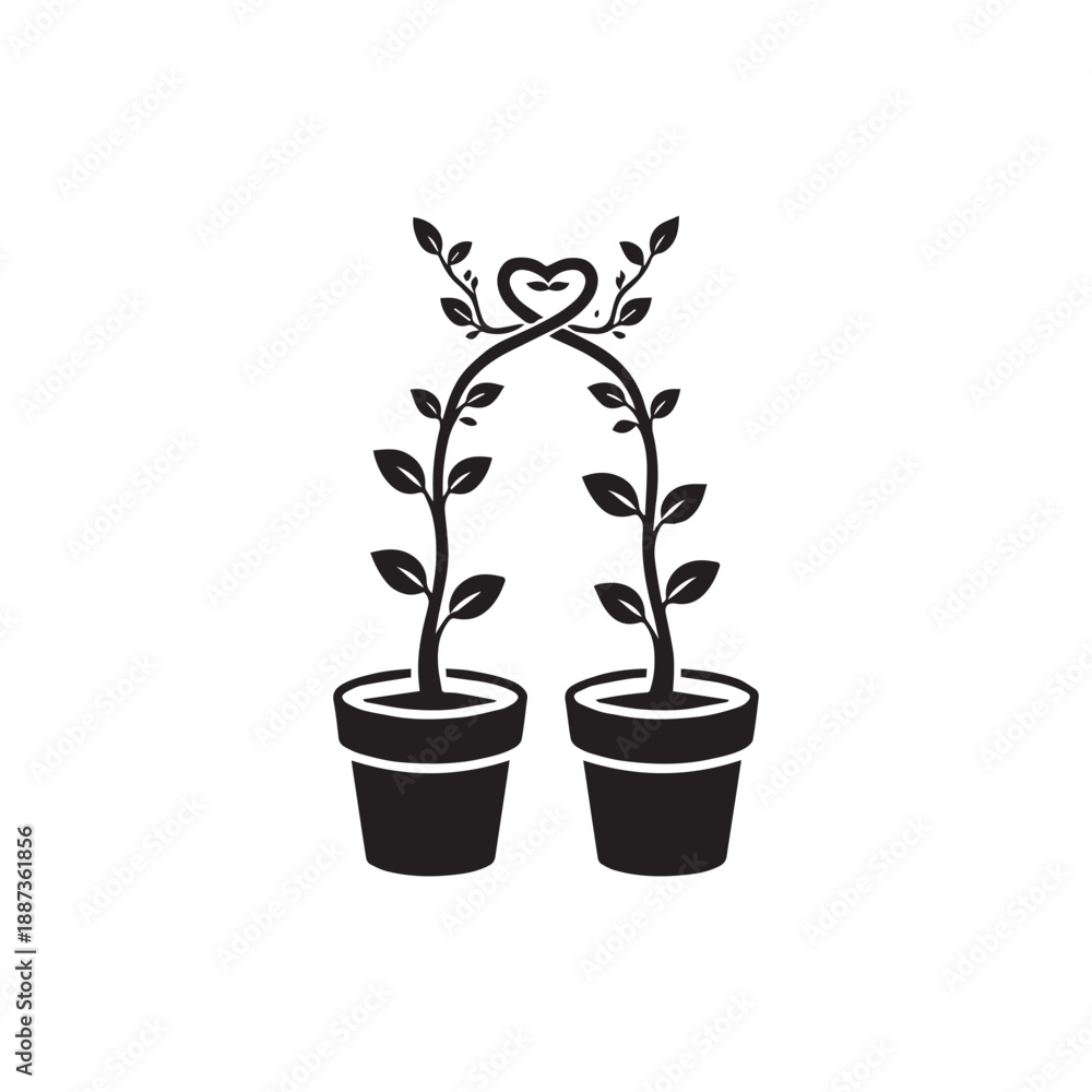Obraz premium Growing Love Heart Plant Arch in Pots - Symbol of Growth and Romance.