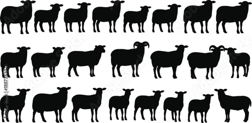 Multiple sheep silhouettes in various poses and sizes arranged in three rows against a plain background from a side viewpoint
