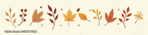 assorted autumn leaves in vibrant shades of orange red and