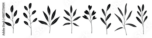 Botanical set of black silhouette twigs with leaves