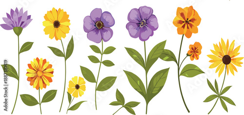 Colorful wildflower and garden flower collection with green leaves, botanical floral vector illustration set for spring designs