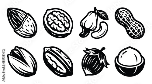 Assorted nuts vector illustration, including almonds, walnuts, cashews, peanuts, pistachios, pecans, hazelnuts, and macadamia nuts.
