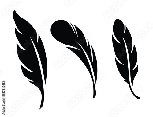 bird feather black silhouettes plumelet collection vector 