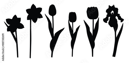 black shapes of springtime flowers such as tulips