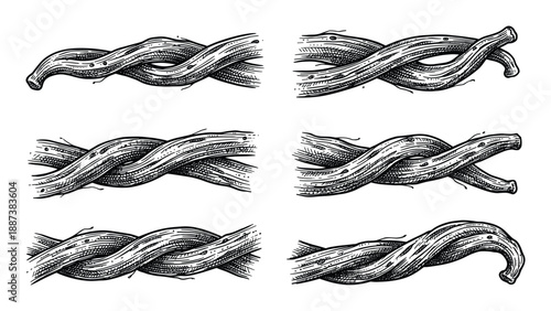 Braided rope illustration set. Detailed sketch of rope with interwoven strands, various rope knots.