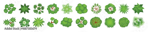 cartoon top view trees plants bushes for landscaping
