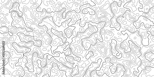 Topographic Map Abstract Lines