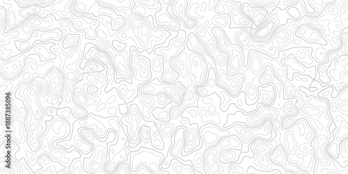 Abstract Topographic Contour Line Pattern Concept