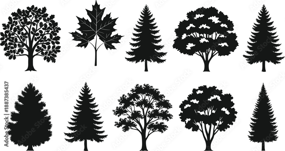 Fototapeta premium Vector Collection of Various Black Tree Silhouettes Including Pine, Oak, and Fir for Nature Landscape Design Elements (